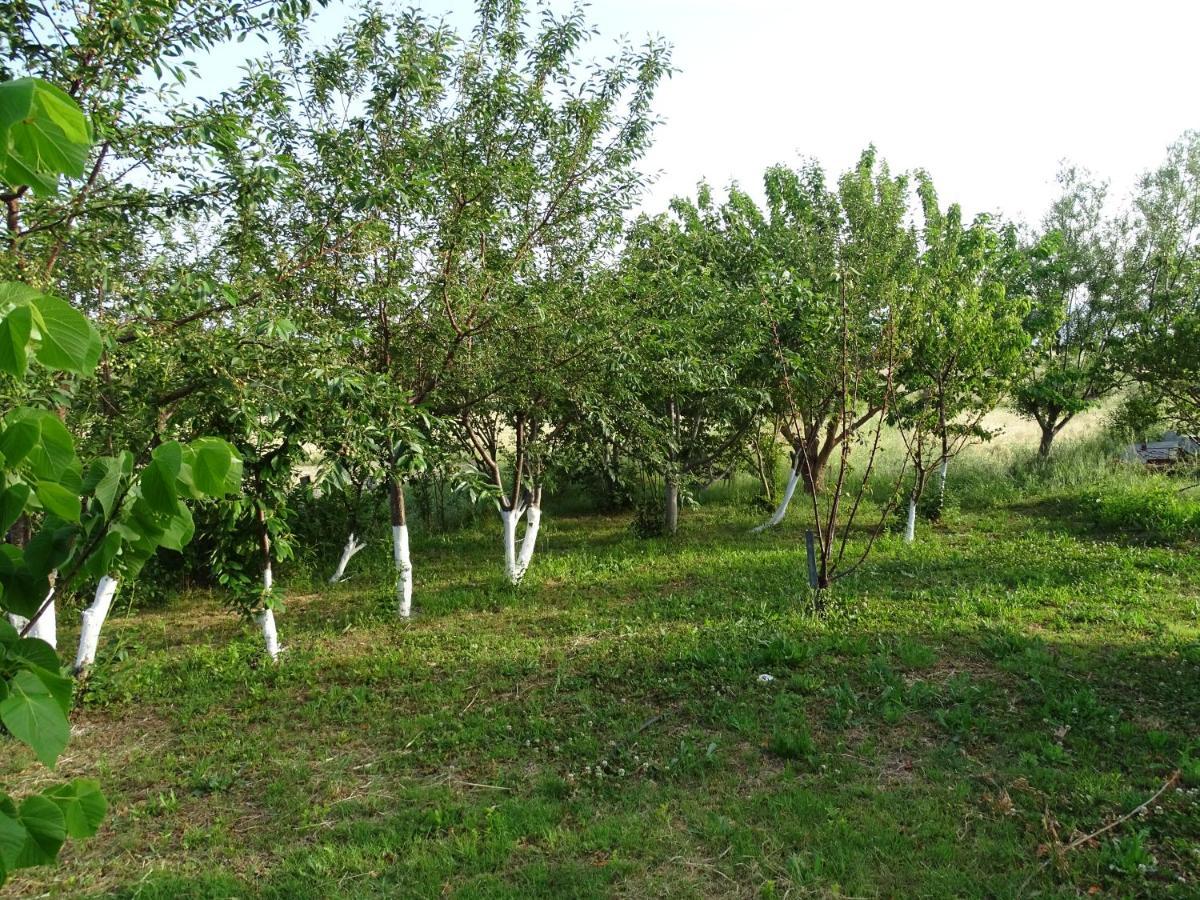 Apartment Melenios