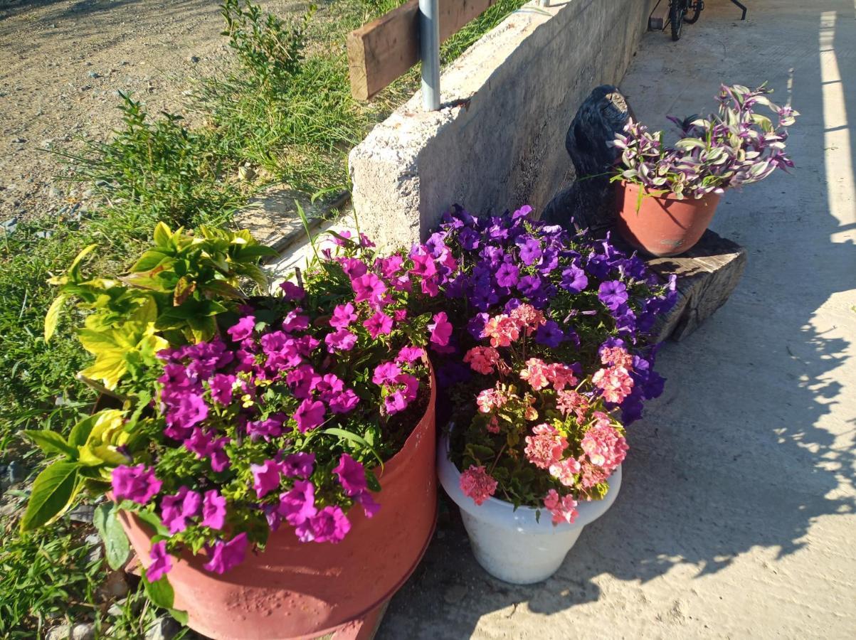 Apartment Melenios Samothraki